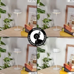 Romdrup Lampe de table d'extérieur, Lampe à poser LED Blanc, 1 lumière