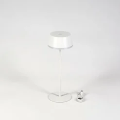 Romdrup Lampe de table d'extérieur, Lampe à poser LED Blanc, 1 lumière