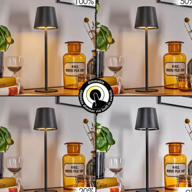 Salgadinho Lampe à poser LED Noir, 1 lumière