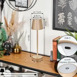 Salgadinho Lampe à poser LED Beige, 1 lumière
