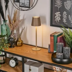 Salgadinho Lampe à poser LED Beige, 1 lumière