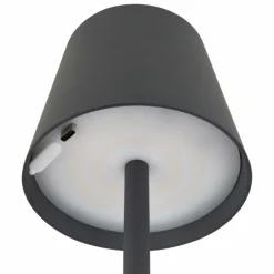 Salgadinho Lampe de table d'extérieur Luminaires Globo Lighting LED Anthracite, 1 lumière