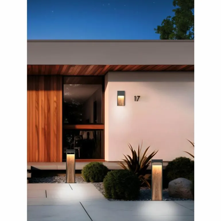 SALMON Applique murale Luminaires Trio LED Bois clair, 1 lumière