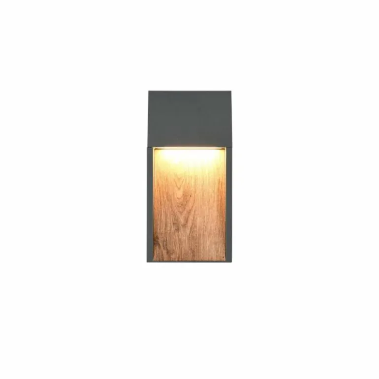 SALMON Applique murale Luminaires Trio LED Bois clair, 1 lumière