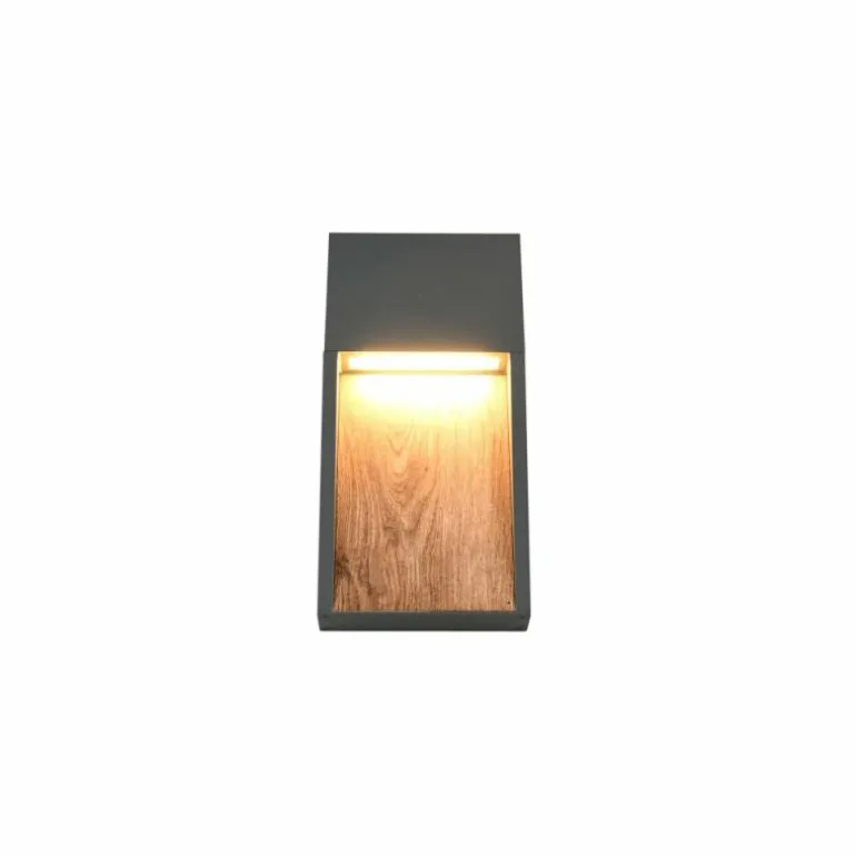 SALMON Applique murale Luminaires Trio LED Bois clair, 1 lumière