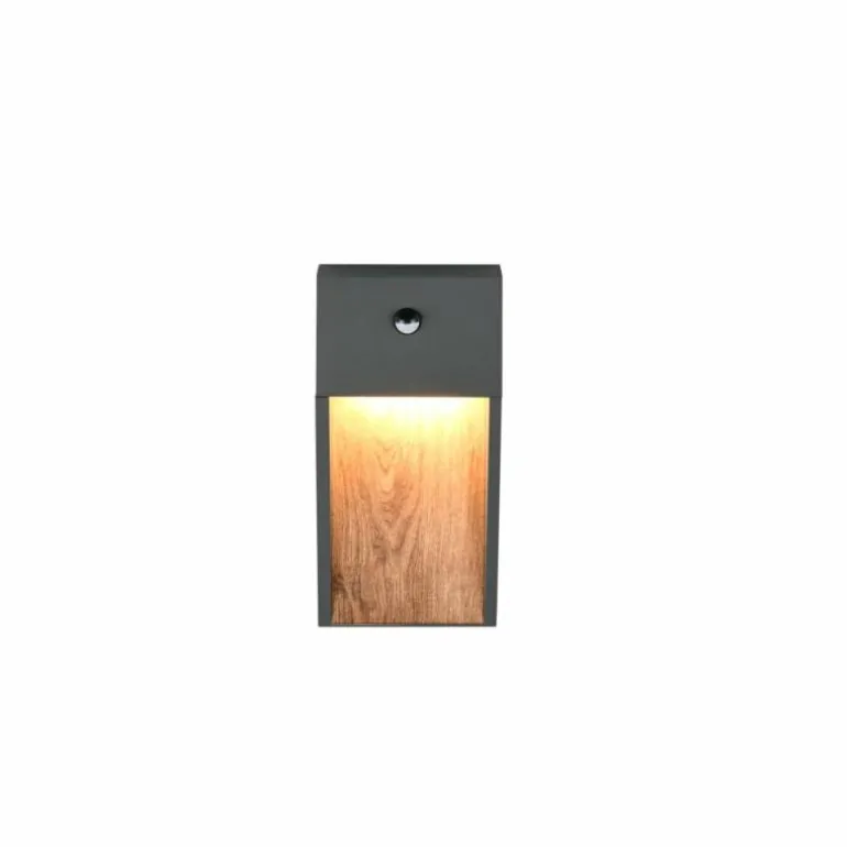 SALMON Applique murale Luminaires Trio LED Bois clair, 1 lumière, Détecteur de mouvement