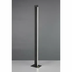 Seeker Lampadaire Luminaires Trio LED Noir, 1 lumière