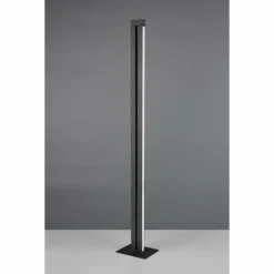 Seeker Lampadaire Luminaires Trio LED Noir, 1 lumière