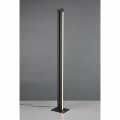 Seeker Lampadaire Luminaires Trio LED Noir, 1 lumière