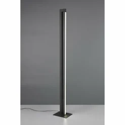 Seeker Lampadaire Luminaires Trio LED Noir, 1 lumière