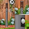 Sessa Eclairage de chemin Anthracite, 1 lumière, Détecteur de mouvement