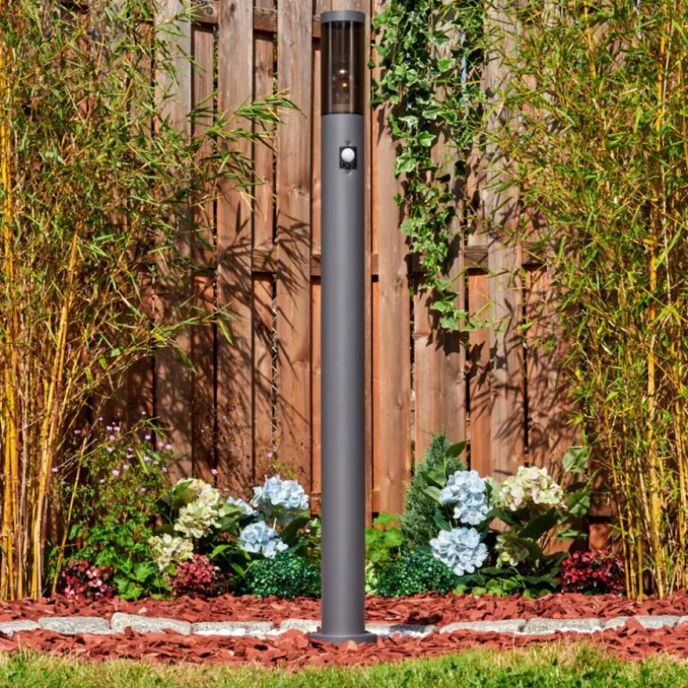 Sessa Eclairage de chemin Anthracite, 1 lumière, Détecteur de mouvement