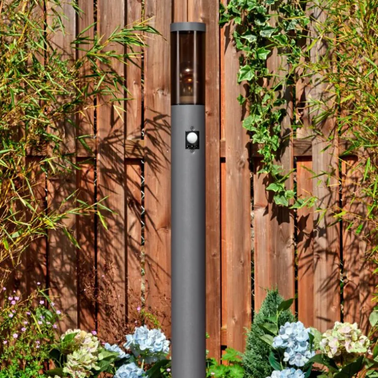Sessa Eclairage de chemin Anthracite, 1 lumière, Détecteur de mouvement