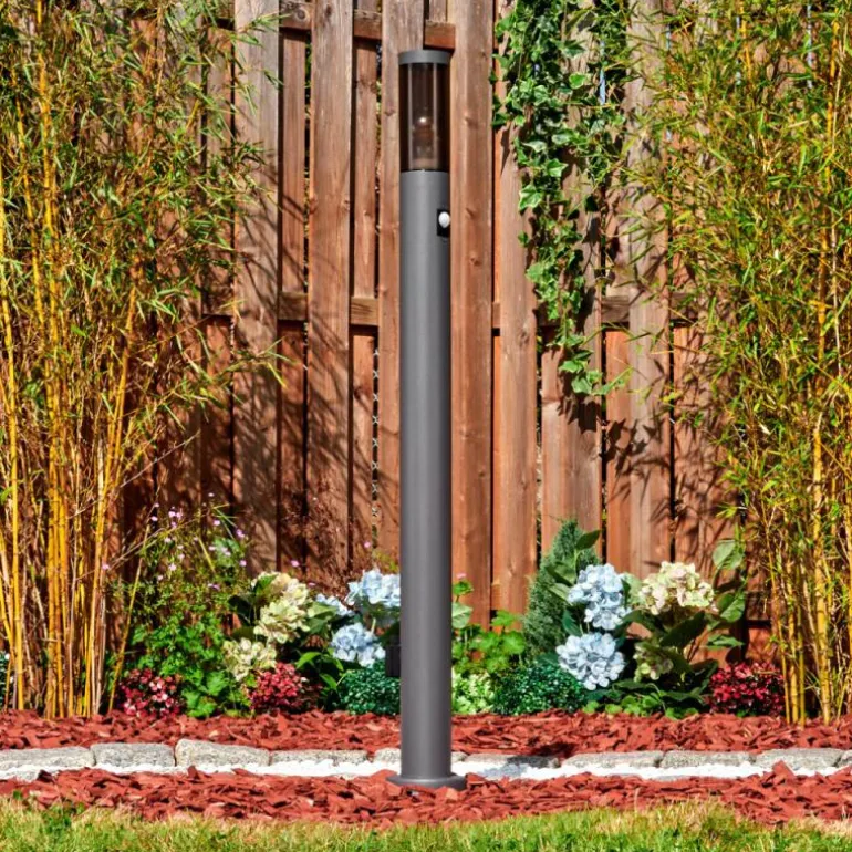 Sessa Lampe à prise électrique, Eclairage de chemin Anthracite, 1 lumière, Détecteur de mouvement