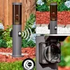 Sessa Prises électriques d'extérieur, Borne lumineuse, Eclairage de chemin Anthracite, 1 lumière, Détecteur de mouvement