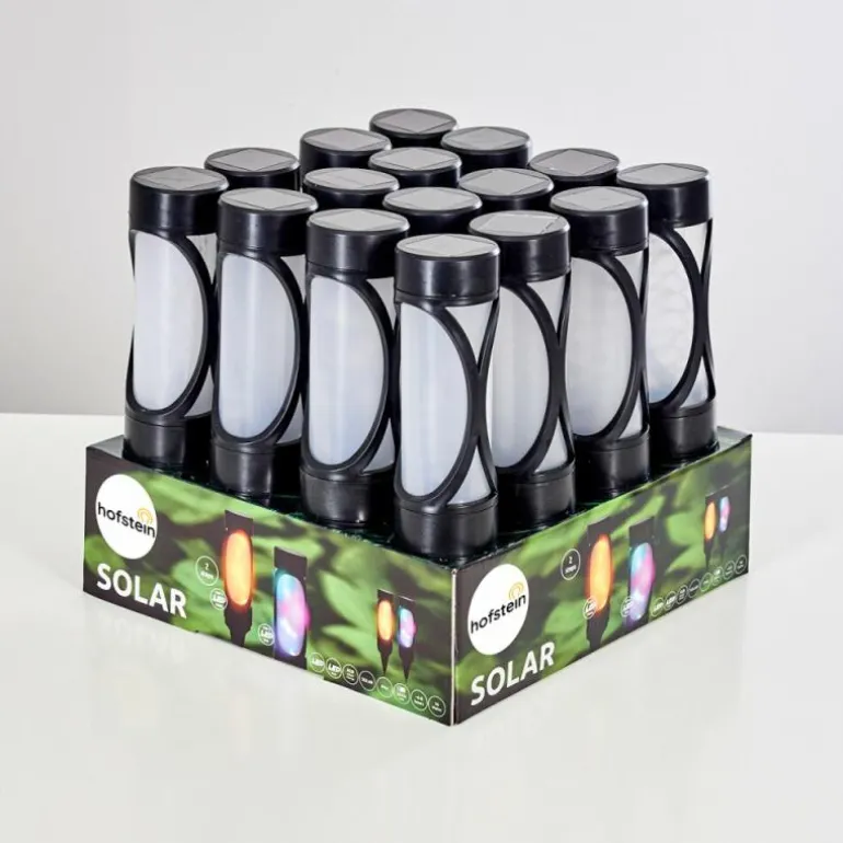 Set de lampes solaires Lakeland LED Noir, 1 lumière