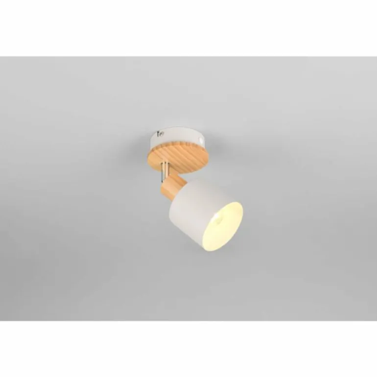 Shanti Spot de plafond Luminaires Trio Gris, 1 lumière