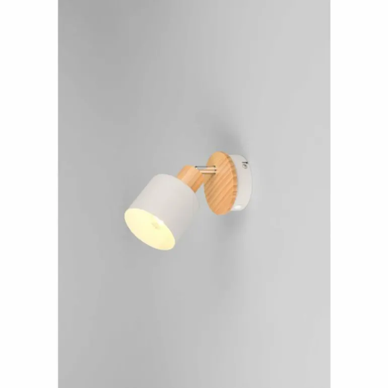 Shanti Spot de plafond Luminaires Trio Gris, 1 lumière