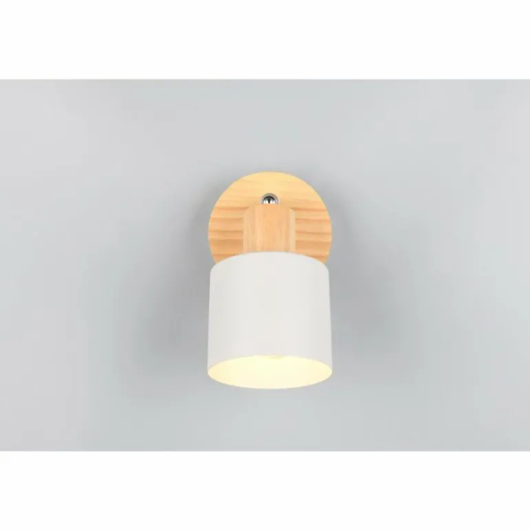Shanti Spot de plafond Luminaires Trio Gris, 1 lumière