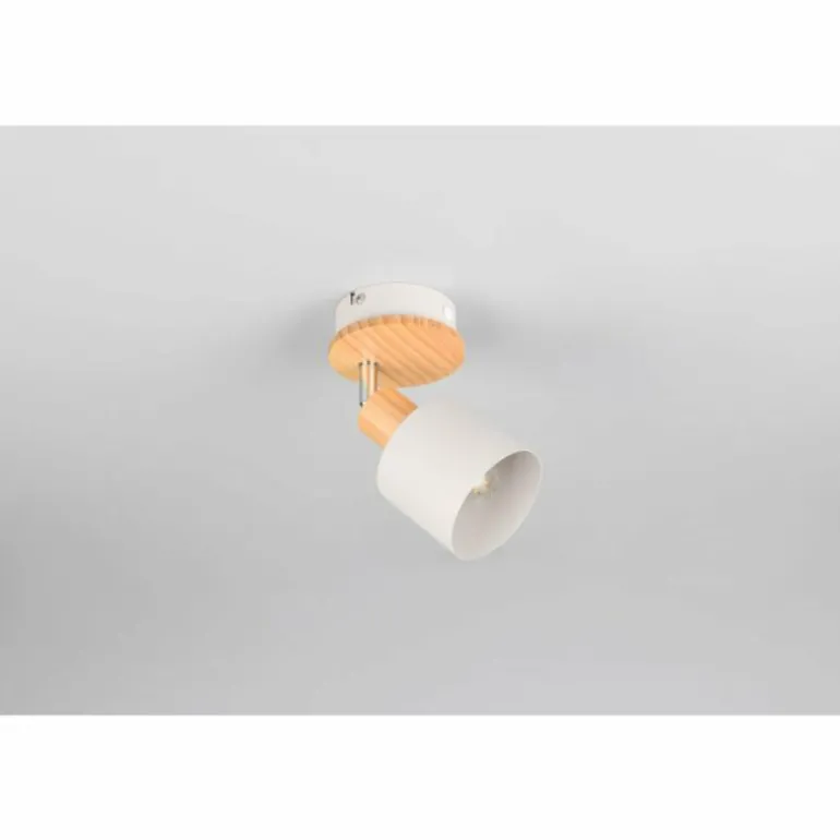 Shanti Spot de plafond Luminaires Trio Gris, 1 lumière