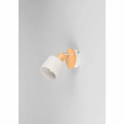 Shanti Spot de plafond Luminaires Trio Gris, 1 lumière