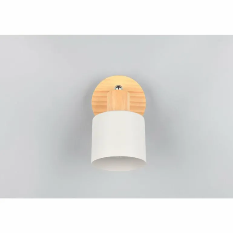 Shanti Spot de plafond Luminaires Trio Gris, 1 lumière