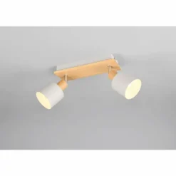 Shanti Spot de plafond Luminaires Trio Gris, 2 lumières