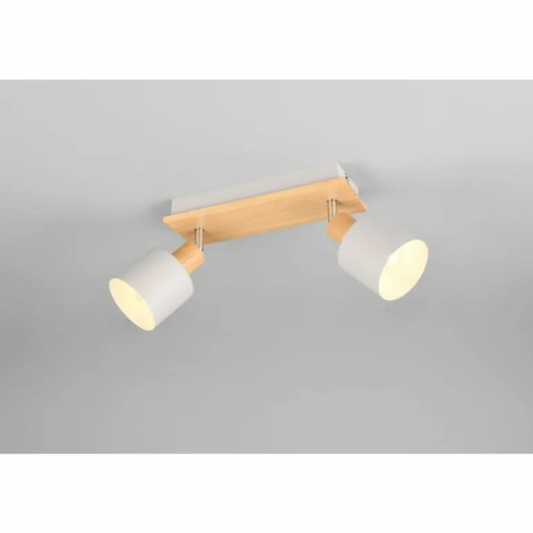 Shanti Spot de plafond Luminaires Trio Gris, 2 lumières