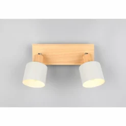Shanti Spot de plafond Luminaires Trio Gris, 2 lumières