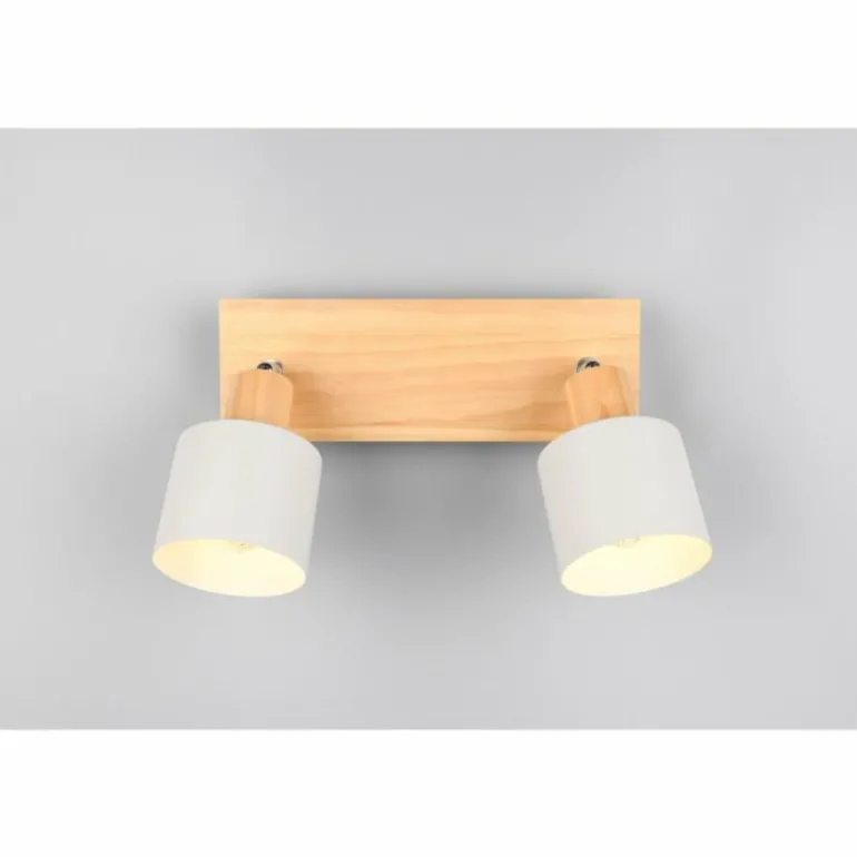 Shanti Spot de plafond Luminaires Trio Gris, 2 lumières