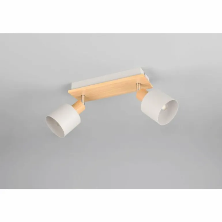 Shanti Spot de plafond Luminaires Trio Gris, 2 lumières