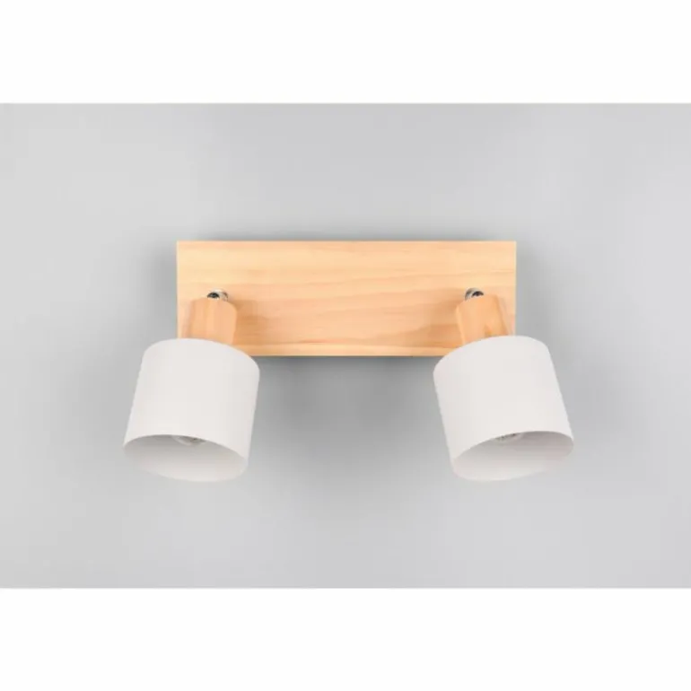 Shanti Spot de plafond Luminaires Trio Gris, 2 lumières