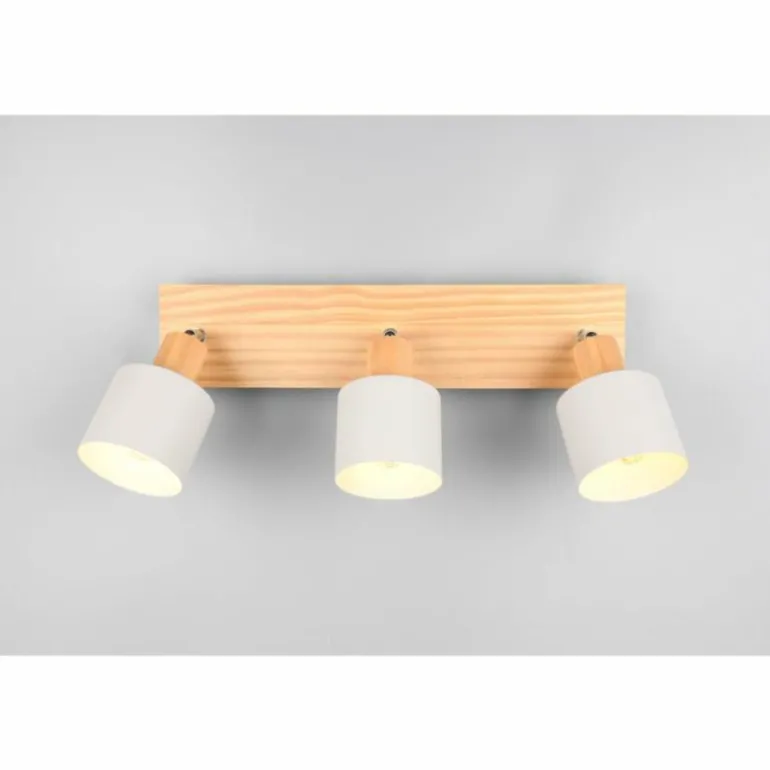 Shanti Spot de plafond Luminaires Trio Gris, 3 lumières