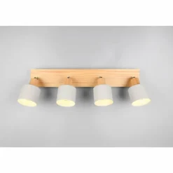 Shanti Spot de plafond Luminaires Trio Gris, 4 lumières