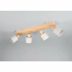 Shanti Spot de plafond Luminaires Trio Gris, 4 lumières