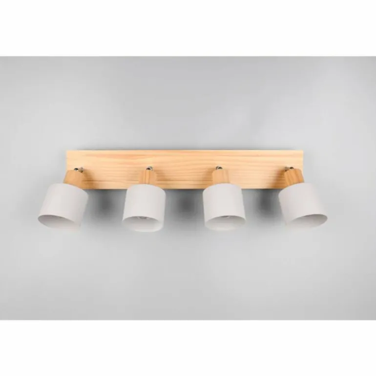 Shanti Spot de plafond Luminaires Trio Gris, 4 lumières