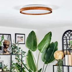 Sofo Plafonnier, Panel LED Blanc, 1 lumière, Télécommandes