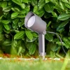 Spot de jardin Apenrader LED Anthracite, 1 lumière