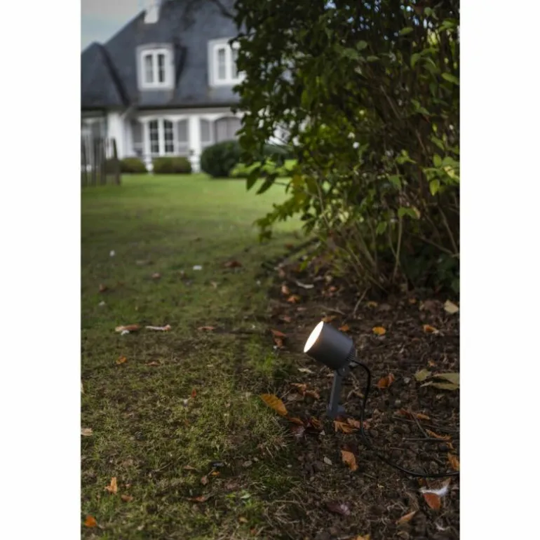 Spot de jardin Lutec Explorer LED Anthracite, 1 lumière