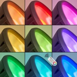 Spot de jardin Phniet LED Noir, 1 lumière, Télécommandes, Changeur de couleurs