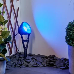 Spot de jardin Phniet LED Noir, 1 lumière, Télécommandes, Changeur de couleurs