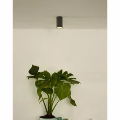Spot de plafond Lucide DELTO LED Gris, 1 lumière