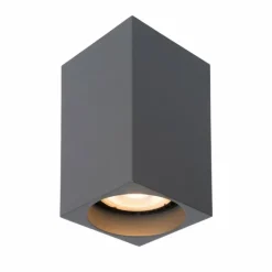 Spot de plafond Lucide DELTO LED Gris, 1 lumière