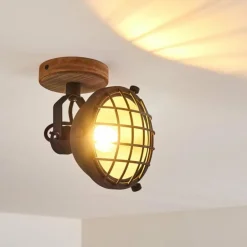 Spot de plafond Onsala Brun, Noir, 1 lumière