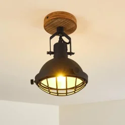 Spot de plafond Onsala Brun, Noir, 1 lumière