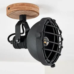 Spot de plafond Onsala Brun, Noir, 1 lumière