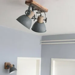 Spot Steinhauer GEARWOOD Gris, 2 lumières