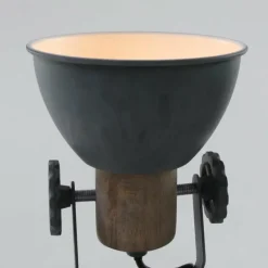 Spot Steinhauer GEARWOOD Gris, 2 lumières