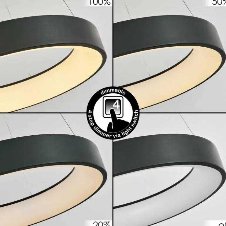 Suspension Areja LED Anthracite, Blanc, 1 lumière