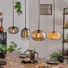 Suspension - Verre 25 cm, 20cm Ripoll Ambre, Clair, Écru, Fumé, Noir, 4 lumières